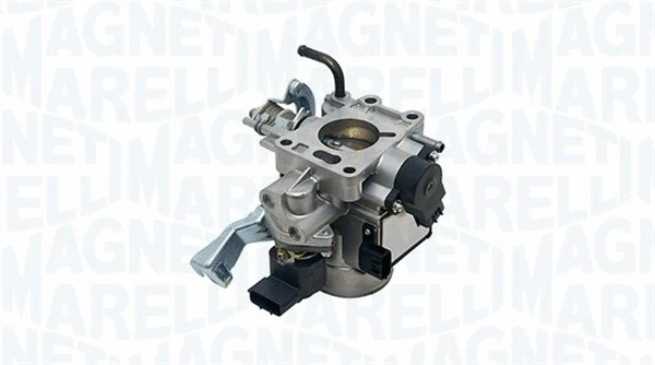 Throttle Body (802000000006)
