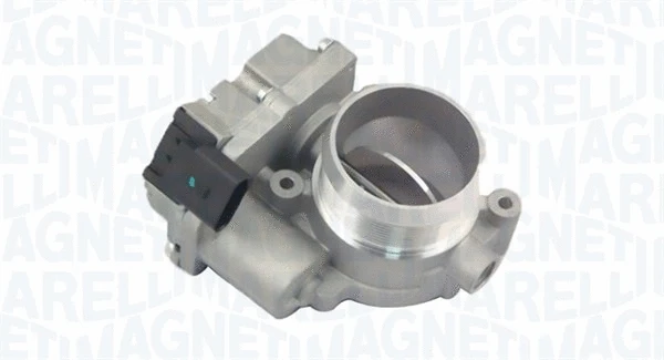 Throttle Body (802000000025)