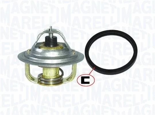 Thermostat, coolant (352317004060)
