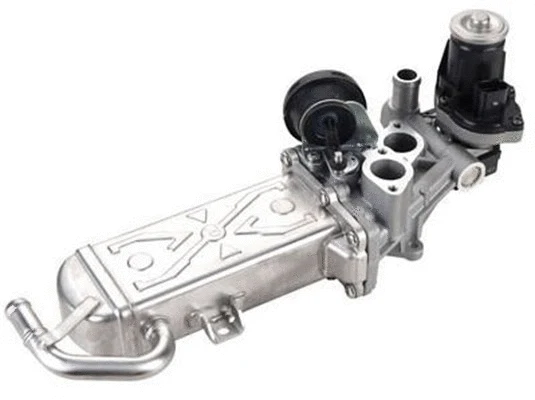 EGR Valve (359000603780)