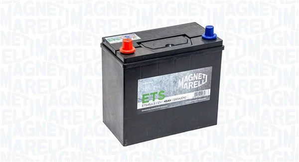 Starter Battery