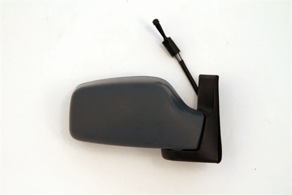 Exterior Mirror (351991111020)