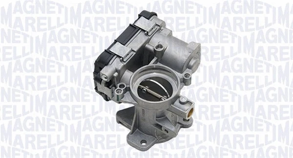 Throttle Body (802009105203)