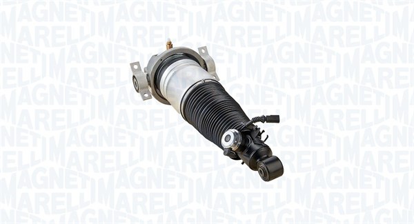 Air Suspension Strut (350019000001)