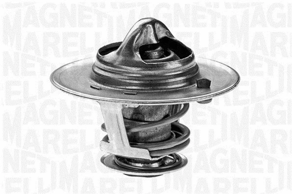 Thermostat, coolant (352023079100)