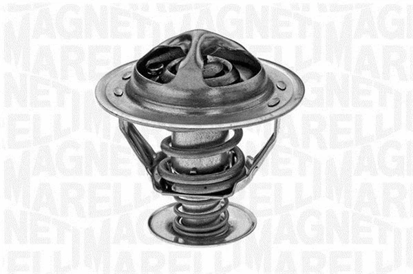 Thermostat, coolant (352023288800)