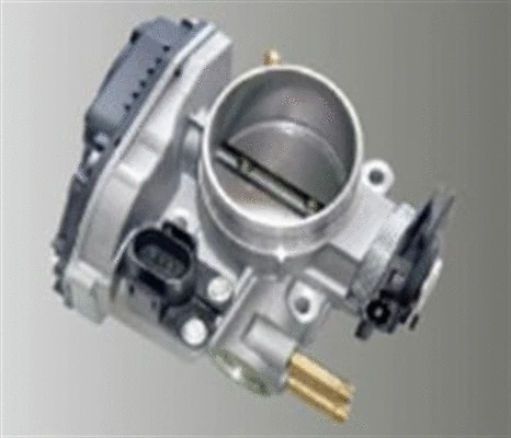 Throttle Body (359000602760)