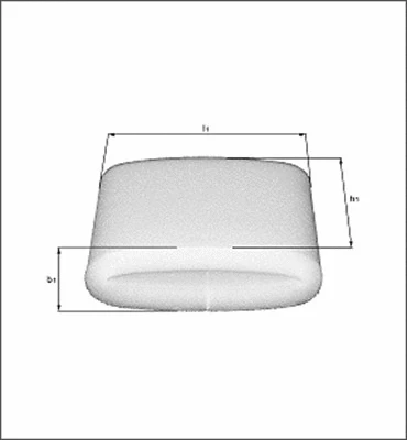 Air Filter (154078460660)