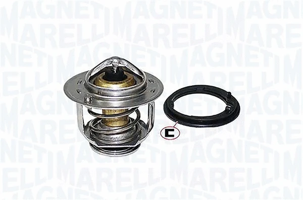 Thermostat, coolant (352317000480)