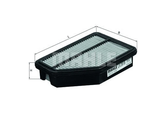 Air Filter (154703825250)