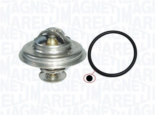 Thermostat, coolant (352317101290)
