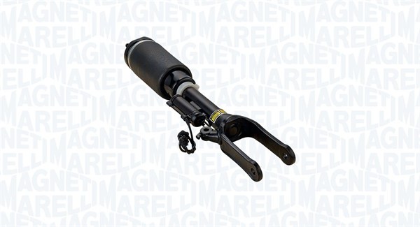 Air Suspension Strut (350311300001)