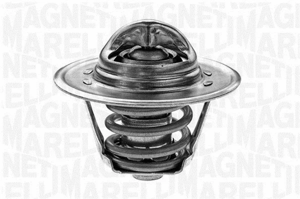 Thermostat, coolant (352047582000)