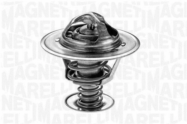 Thermostat, coolant (352020288000)