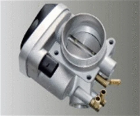 Throttle Body (359000602540)
