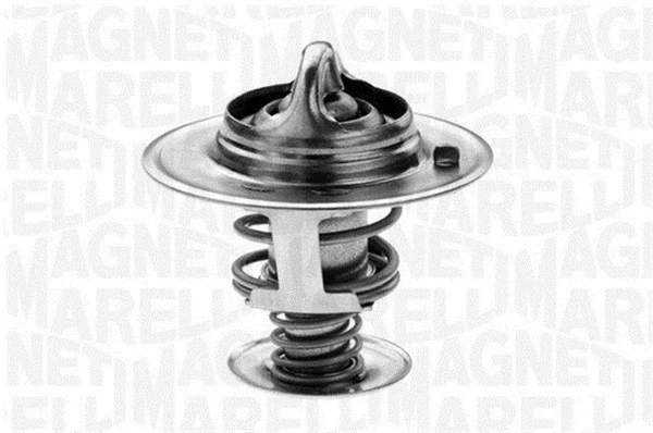 Thermostat, coolant (352036382000)