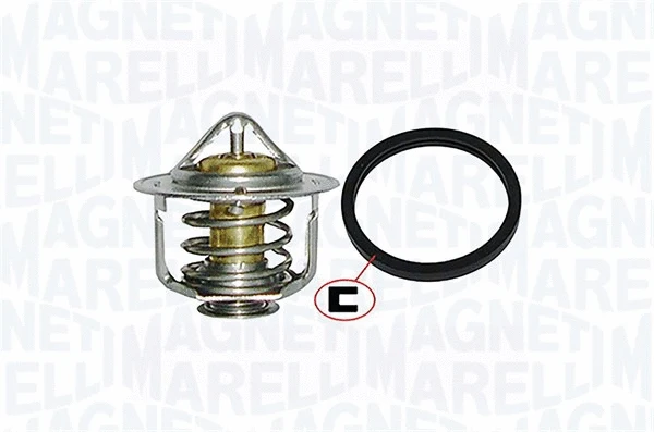 Thermostat, coolant (352317000490)