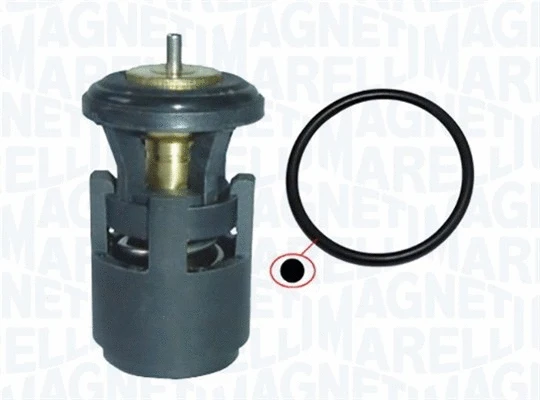 Thermostat, coolant (352317002140)