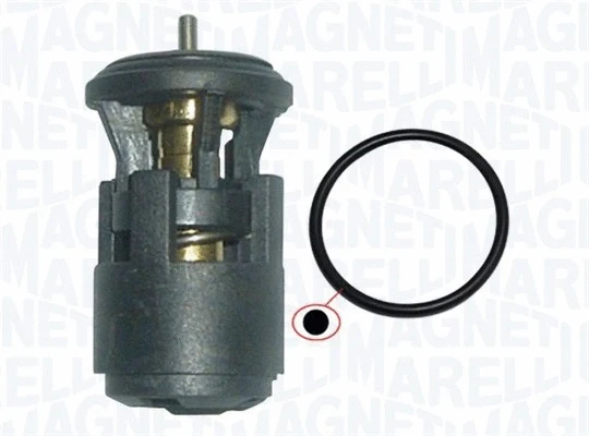 Thermostat, coolant (352317002860)