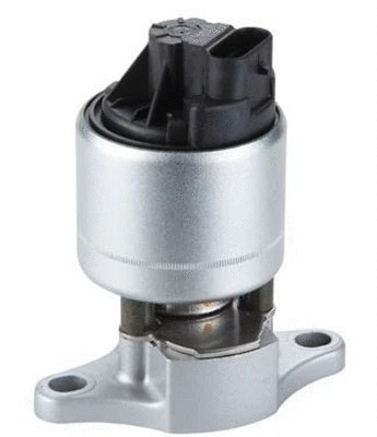 EGR Valve (359000604450)