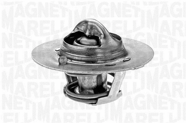Thermostat, coolant (352020882100)
