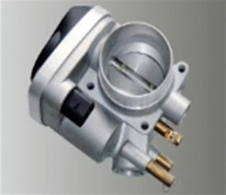 Throttle Body (359000602510)