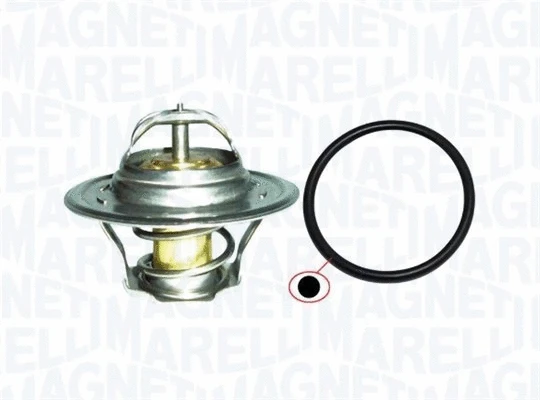 Thermostat, coolant (352317101270)