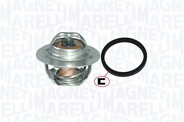 Thermostat, coolant (352317001090)