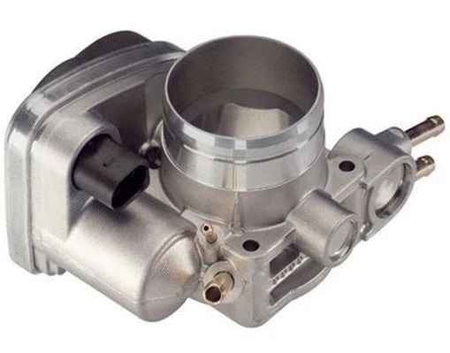Throttle Body (359000604950)