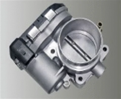 Throttle Body (359000602630)