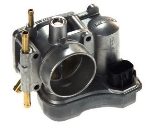 Throttle Body (359000602450)