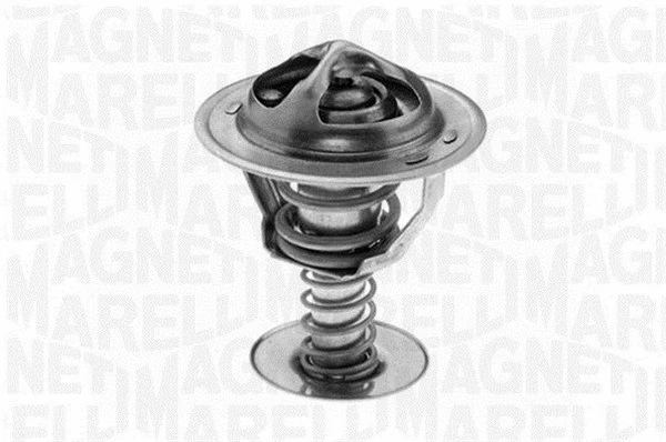 Thermostat, coolant (352041279000)
