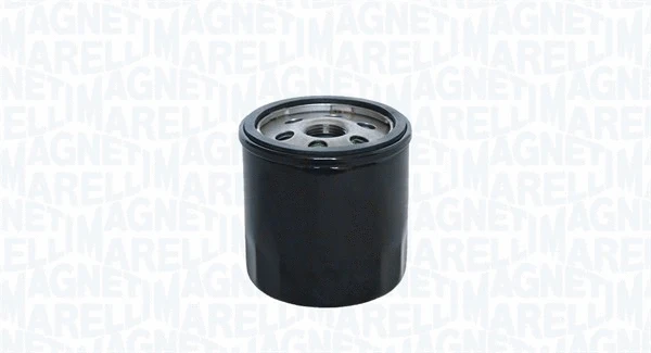 Oil Filter (153071760755)