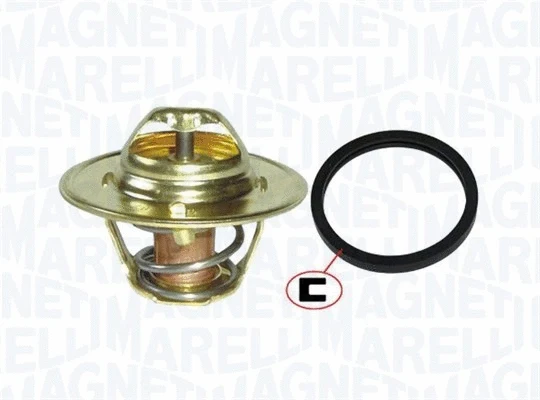 Thermostat, coolant (352317002220)