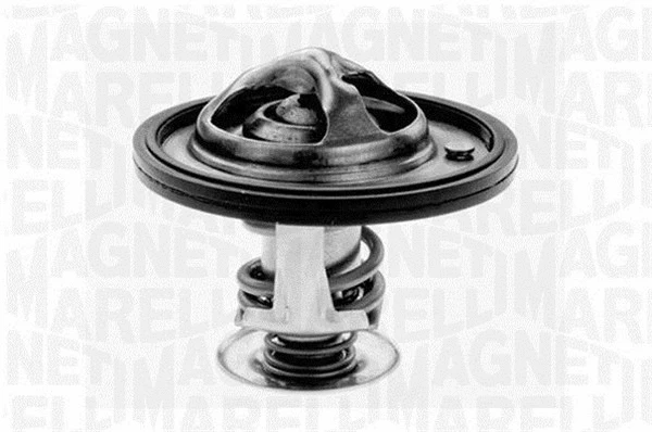 Thermostat, coolant (352052882000)