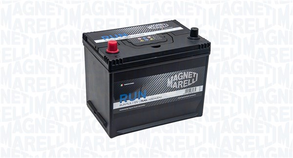 Starter Battery