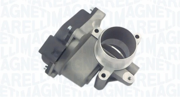 Throttle Body (802000000032)