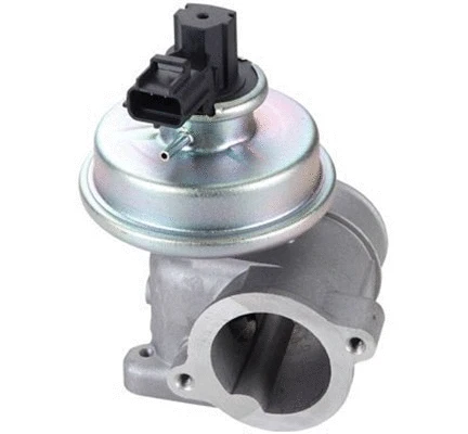 EGR Valve (571822112109)