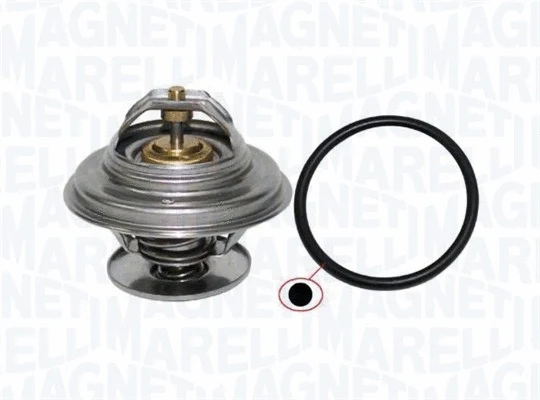 Thermostat, coolant (352317100650)