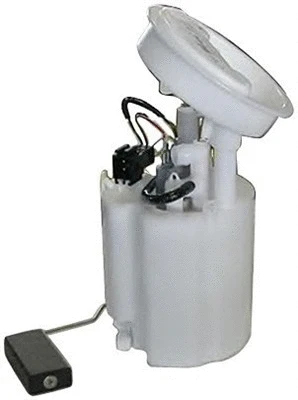 Fuel Supply Module (313011313041)