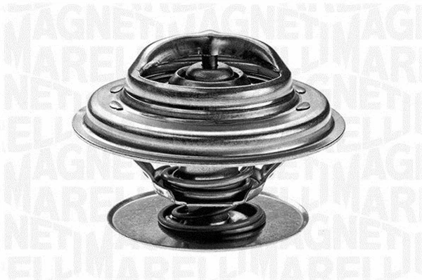 Thermostat, coolant (352027782000)