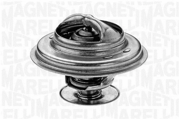 Thermostat, coolant (352030482000)