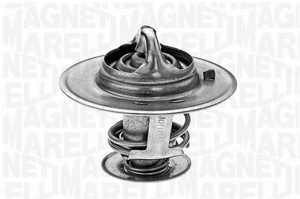 Thermostat, coolant (352023179100)
