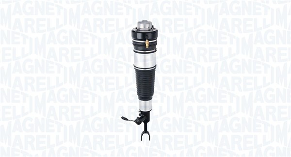 Air Suspension Strut (350039000001)