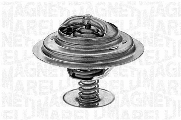 Thermostat, coolant (352056382000)