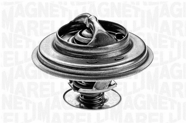 Thermostat, coolant (352027471100)