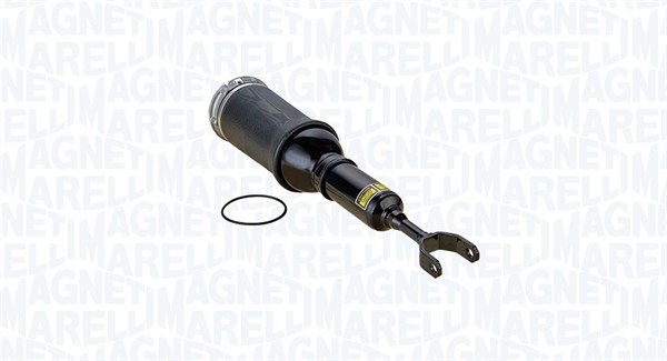 Air Suspension Strut (350031000001)