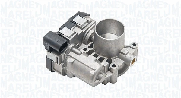 Throttle Body (802001799501)