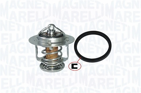 Thermostat, coolant (352317001220)