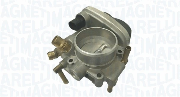 Throttle Body (802000000066)